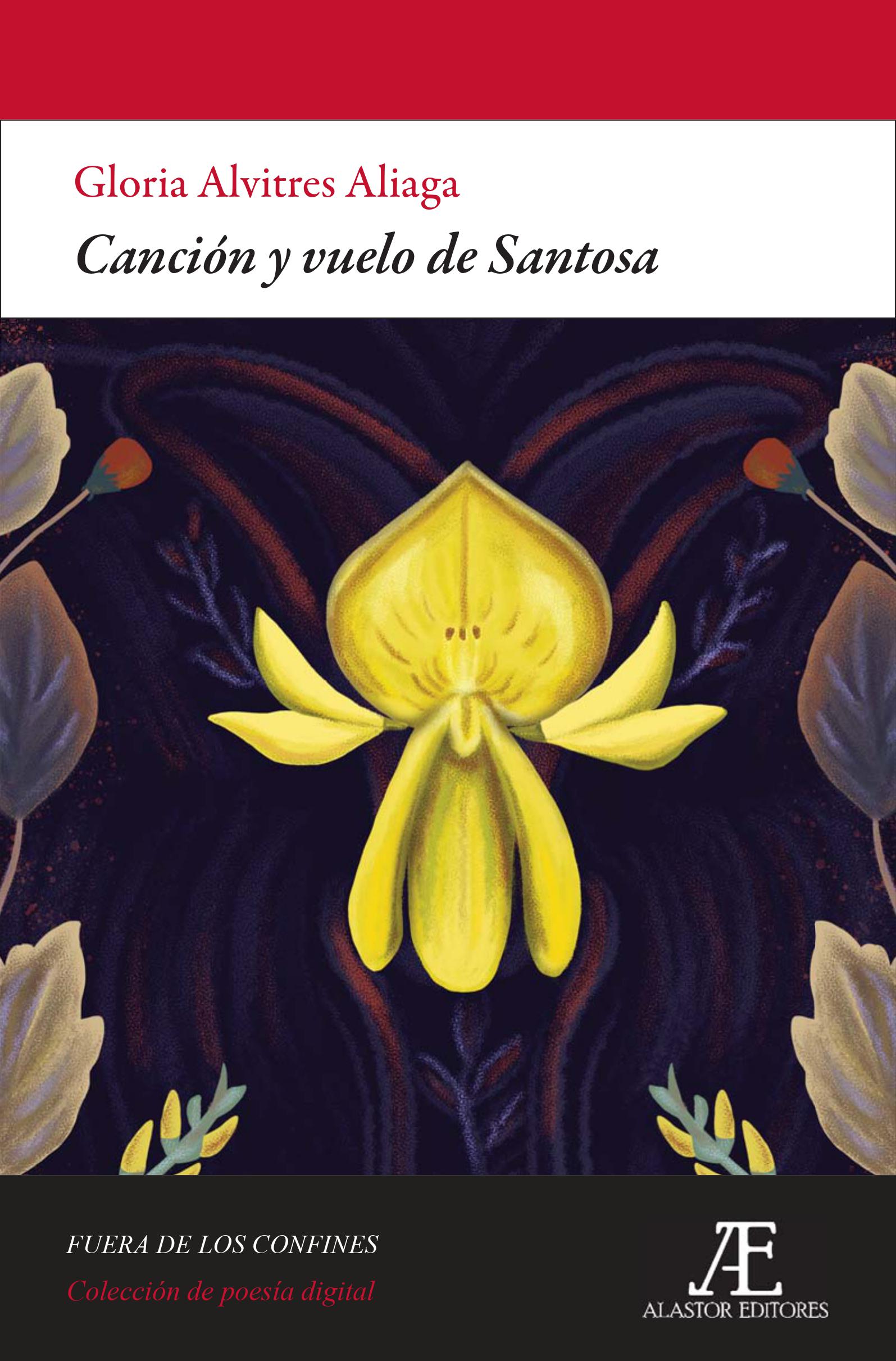 Fotografía de Canción y vuelo de Santosa