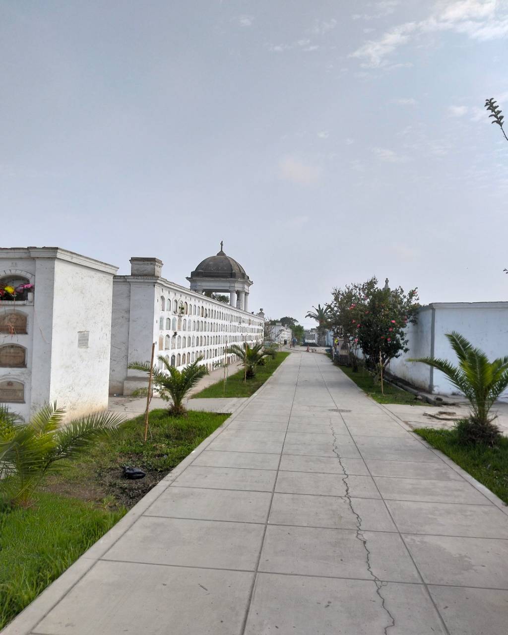 Se ve la imagen del pasillo de un cementerio. Entre los nichos, hay algunas áreas verdes con pasto. A lo lejos, se ve una cúpula.